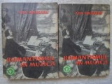 ROMANTISMUL IN MUZICA VOL.1-2-ADA BRUMARU-349358