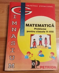 Matematica. Probleme pentru clasele V-VIII de Ion Petrica