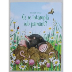 CE SE INTAMPLA SUB PAMANT ? - SERIA &#039; DESCOPAR LUMEA &#039; , text de EMILY BONE , ilustratii de MARIBEL LECHUGA , 2019