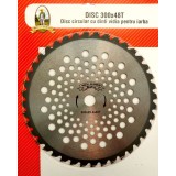 Disc circular cu dinti vidia 300x40Tx25.4mm pentru iarba, Micul Fermier, GF-0299