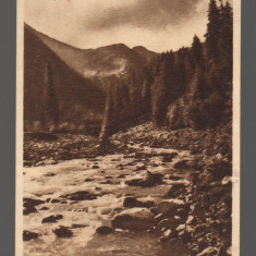 CPIB 15583 CARTE POSTALA - MUNTII FAGARASULUI. VALEA TOPOLOGULUI, 1952