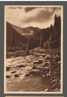 CPIB 15583 CARTE POSTALA - MUNTII FAGARASULUI. VALEA TOPOLOGULUI, 1952 foto