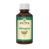 SIROP PATLAGINA 200ML, Faunus Plant