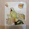 Calendar Top! 1996 dimensiune 10x7 cm