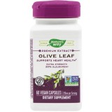 Olive Leaf 20% SE 60cps Secom,