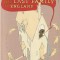 MATT HAIG - THE LAST FAMILY IN ENGLAND ( IN LIMBA ENGLEZA )