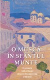Vasilis G. Frangopulos - O musca in Sfantul Munte. O poveste tulburatoare