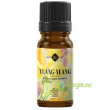 Ulei Esential de Ylang-Ylang Bio 10ml