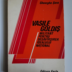 Banat Gheorghe Sora, Vasile Goldis, Militant pentru idealul national, Timisoara