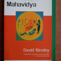 Cele zece Mahavidya - David Kinsley