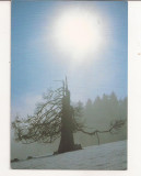 FA46-Carte Postala - AUSTRIA - Peisaj, necirculata, Fotografie