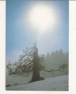 FA46-Carte Postala - AUSTRIA - Peisaj, necirculata foto