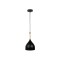 Pendul Player 1XE27 IP20, negru, Erste