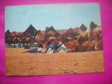 HOPCT 10989 CARAVANA OPRIRE IN DESERT-MAROC -COSTUME TRADITIONALE-AFRICA -NECIRCULATA