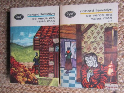 CE VERDE ERA VALEA MEA - Richard Llewellyn (2 volume BPT) foto