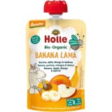 Piure de banane mere mango si caise pentru copii 6luni fara gluten, eco