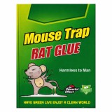 Capcana adeziva pentru soareci tip carte, lipici puternic, fara miros, non-toxica, utilizare usoara interior exterior