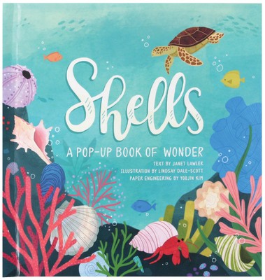 Shells: A Summer Pop-Up Book foto