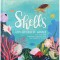 Shells: A Summer Pop-Up Book