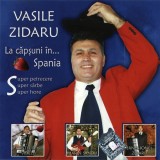 Vasile Zidaru - La Căpșuni &Icirc;n... Spania, CD