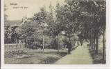 Carte postala necirculata din jurul anului 1900 Saliste