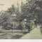 Carte postala necirculata din jurul anului 1900 Saliste