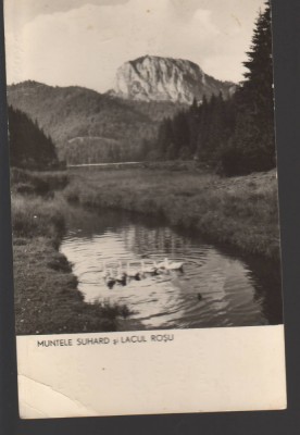 CPIB 19592 CARTE POSTALA - MUNTELE SUHARD SI LACU ROSU, RPR foto