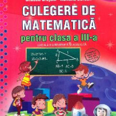 Culegere de matematica - Clasa 3 - Simona Grujdin, Adriana Borcan