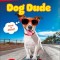 DK Super Readers Level 2 Dog Dude