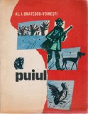 Puiul