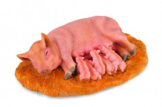 Familie De Porci - Collecta foto