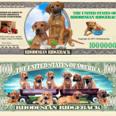 !!! SUA = FANTASY NOTE (TJ6) = RHODESIAN RIDGEBACK - 2011 - UNC / SERIA KAY NINE