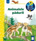 Animalele padurii - Patricia Mennen - Casa