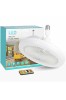 LED Multifunctional Fan Lamp, Oem