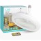 LED Multifunctional Fan Lamp