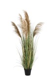 Cumpara ieftin Pampas artificial in ghiveci 80x170 cm