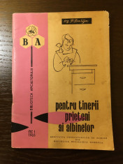 Biblioteca Apicultorului Nr.1 Pentru Tinerii prieteni ai albinelor [1965] foto