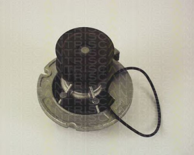 Pompa apa OPEL CORSA C (F08, F68) (2000 - 2009) TRISCAN 8600 24010 foto