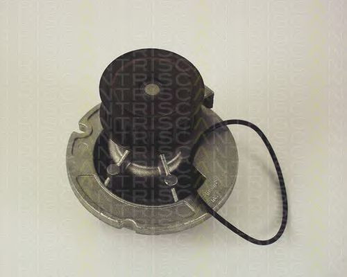 Pompa apa OPEL CORSA C (F08, F68) (2000 - 2009) TRISCAN 8600 24010