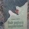 Tiberiu Vornic - Sub pajura imparatiei