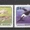 Guinee Bissau 1984 Whales, used G.318