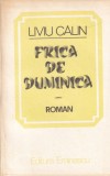 Liviu Calin - Frica de duminica