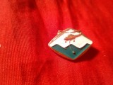 Insigna veche China - Aviatie Elicopter , metal si email , L=2,2cm
