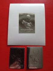 FUJEIRA, SPACE - MNH SILVER, PERF./IMPERF. foto