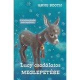 Lucy csod&aacute;latos meglepet&eacute;se - Anne Booth