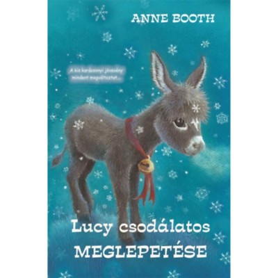 Lucy csod&amp;aacute;latos meglepet&amp;eacute;se - Anne Booth foto