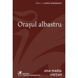 Orașul albastru - Ana-Maria Vințan