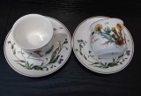 Set 2 cești cu farfurioare Villeroy and Boch - Colecția Botanica