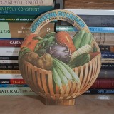 CARTE COPII ~ FELICIA A. AVRAM / JENNER JULIA - COSULETUL CU LEGUME , PERIOADA COMUNISTA *