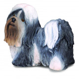 Shih Tzu - Collecta